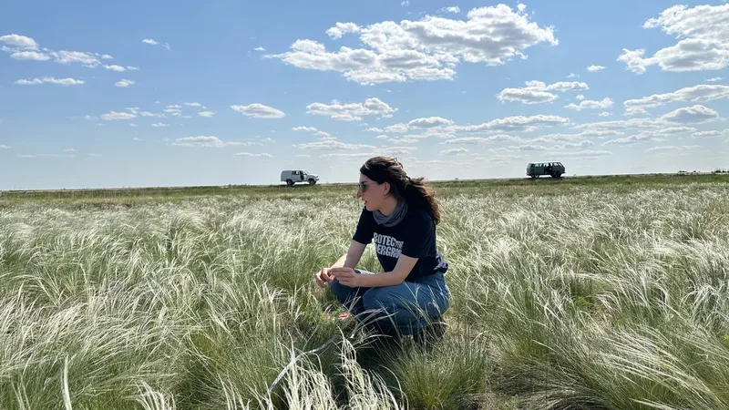 Técnico em Meio Ambiente coleta amostra em atividade de campo