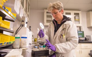 Técnico em Química: o que faz e onde trabalhar: imagem relacionada à formação e ao trabalho na área