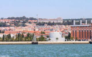 Técnico em logística: o que faz e onde trabalhar