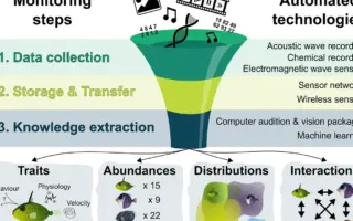 Imagem destacada curso técnico em Meio Ambiente e estágio