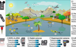 Técnico em Meio Ambiente acompanhando métodos de monitoramento ambiental
