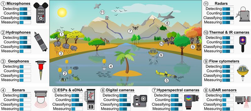 Técnico em Meio Ambiente acompanhando métodos de monitoramento ambiental
