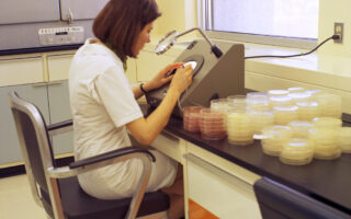 Técnico em Alimentos trabalhando em laboratório de controle de qualidade