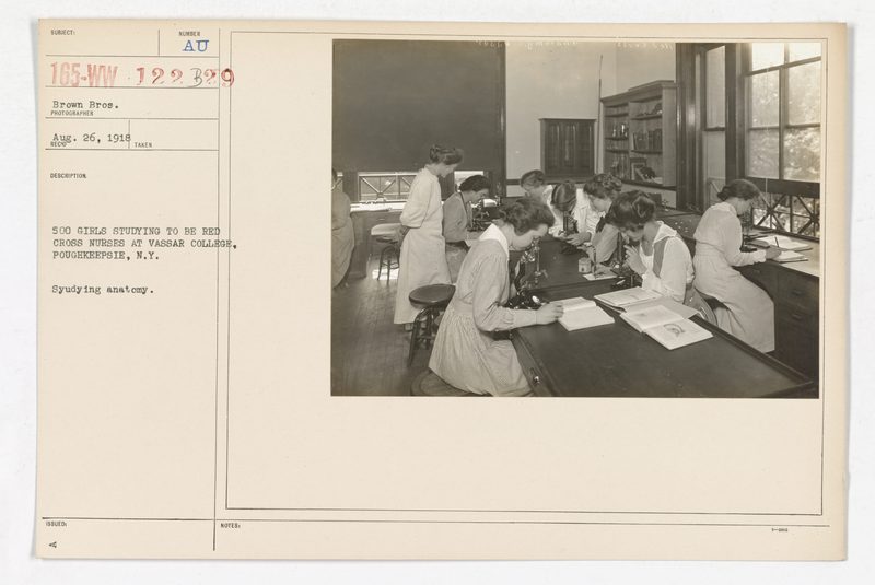 Estudantes de enfermagem estudando anatomia para formação profissional