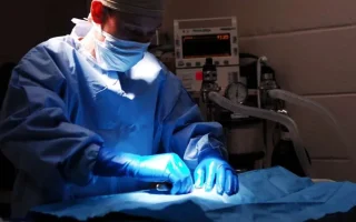 Técnico em Farmácia em clínica veterinária: ambiente de atendimento e procedimentos