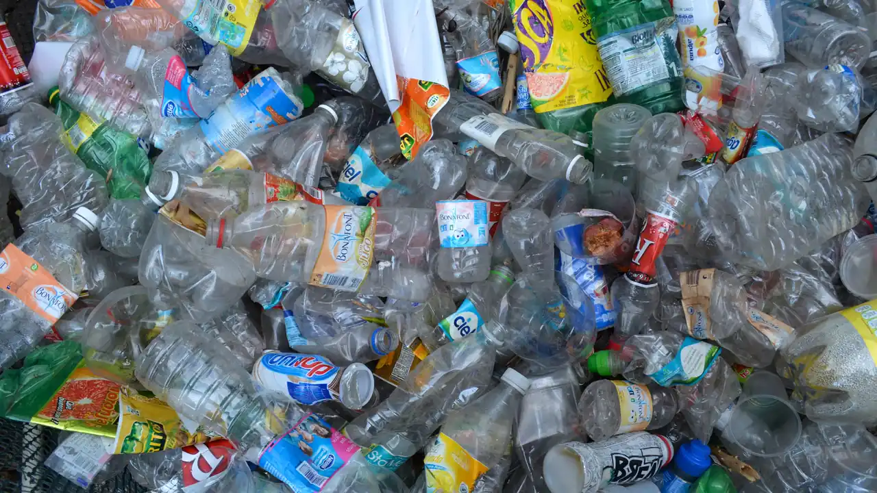 Educação ambiental: garrafas plásticas separadas para reciclagem